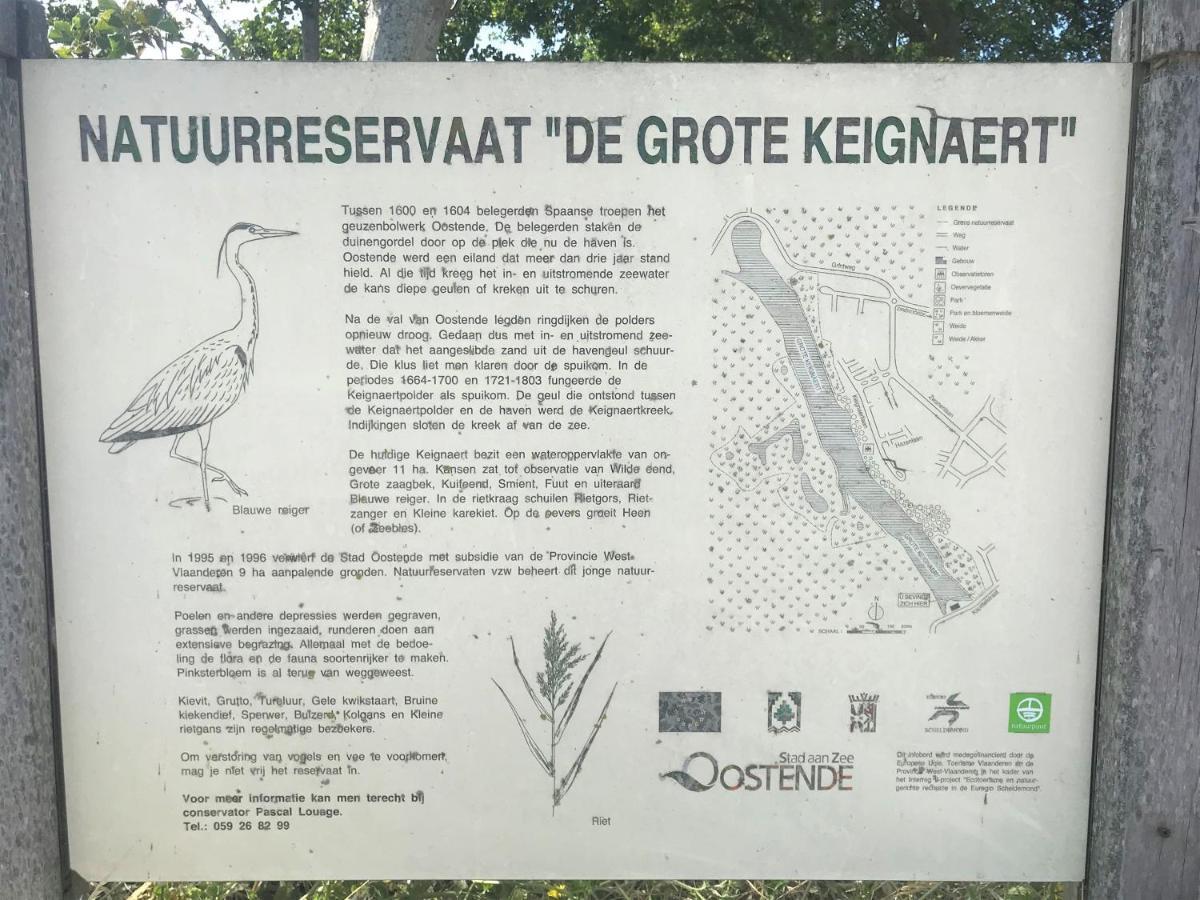 Ter Zwaanhoek Villa Oostende Buitenkant foto